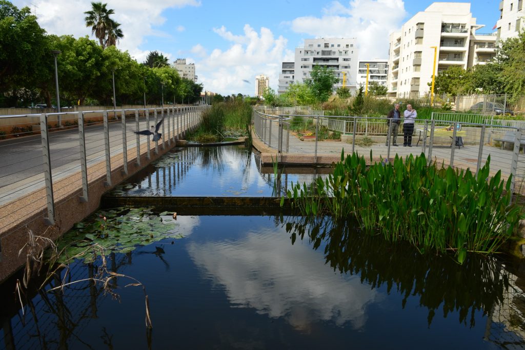 הבריכות הביולוגיות