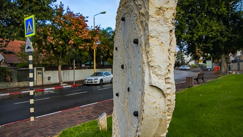 גלקסיה_ספיראלית_ברני_פינק_2009_(2).jpg