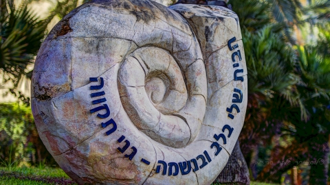 בית_שבלול_יעל_בט_2008.jpg