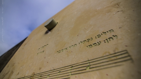 התקווה__שוקי_כפרי_2010_(3).jpg